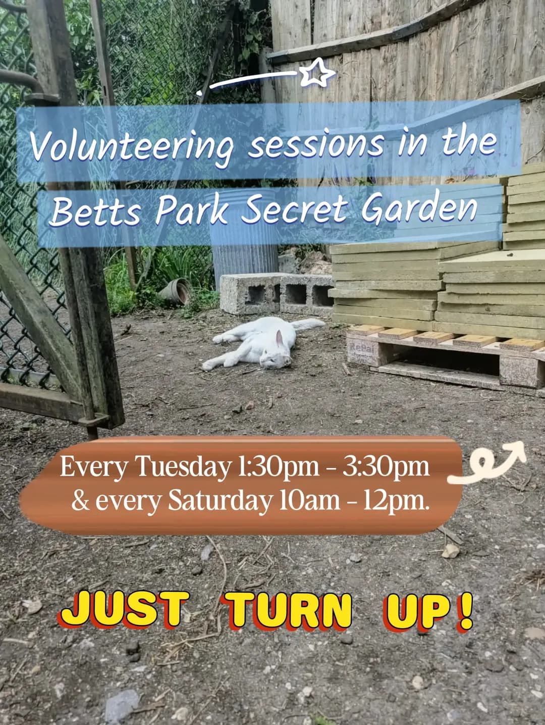 Volunteering sessions in the Betts Park Secret Garden